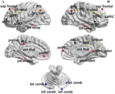 Cognitive control training enhances the integration of intrinsic functional networks in adolescents